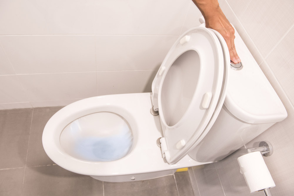 toilet flush handle