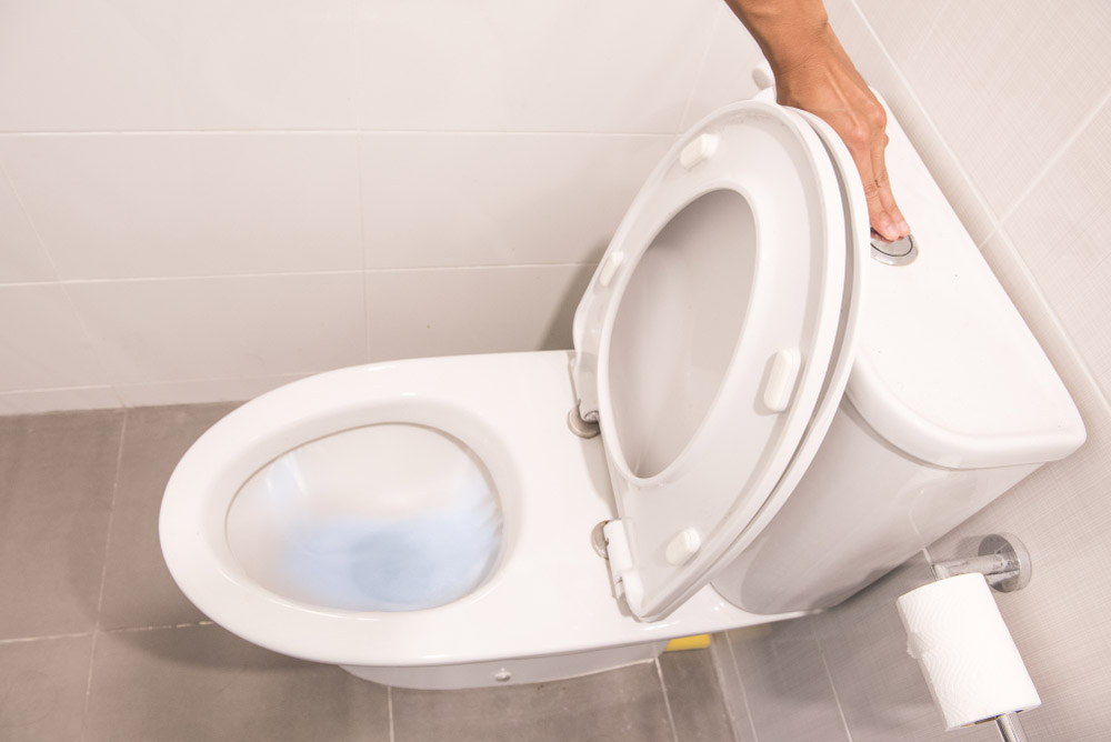 Reasons Your Toilet Is Running